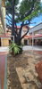 listing thumbnail image 50