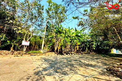 ที่ดิน ถนนสุวินทวงศ์ : ขายที่ดิน 96ตร.วา หมู่บ้านฟลอร่าวิลล์ ถนนสุวินทวงศ์ ลำผักชี หนองจอก