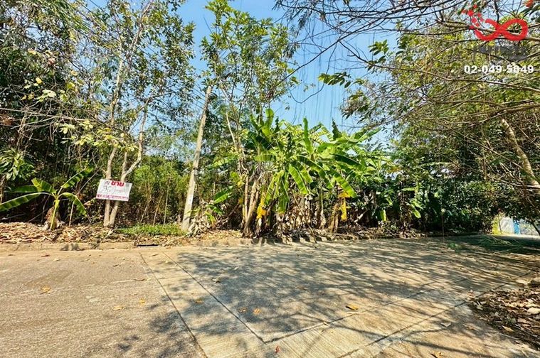 ขายที่ดิน 96ตร.วา หมู่บ้านฟลอร่าวิลล์ ถนนสุวินทวงศ์ ลำผักชี หนองจอก