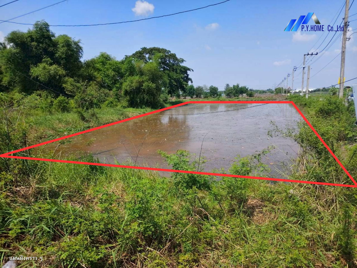 รูป ขายที่ดิน 2-0-88 คลองสิบสอง หนองจอก - รูปที่ 2/13