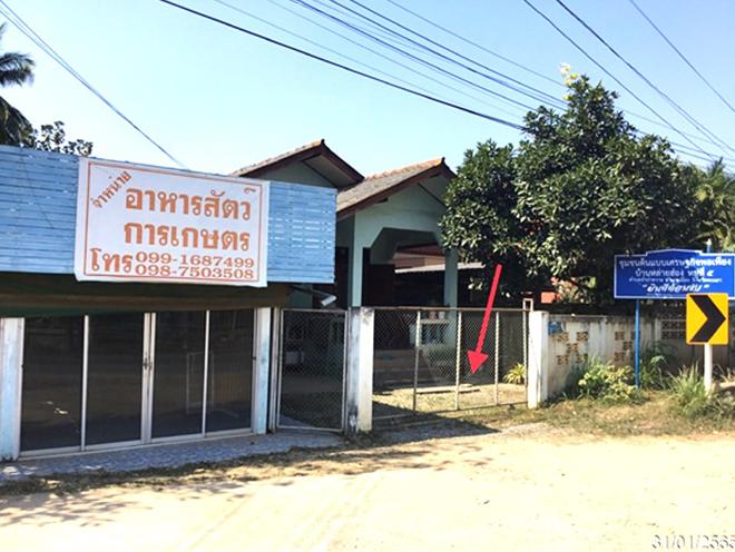 รูป บ้านเดี่ยว 106 ตร.วา เมืองพะเยา พะเยา 1.6M - รูปที่ 5/14