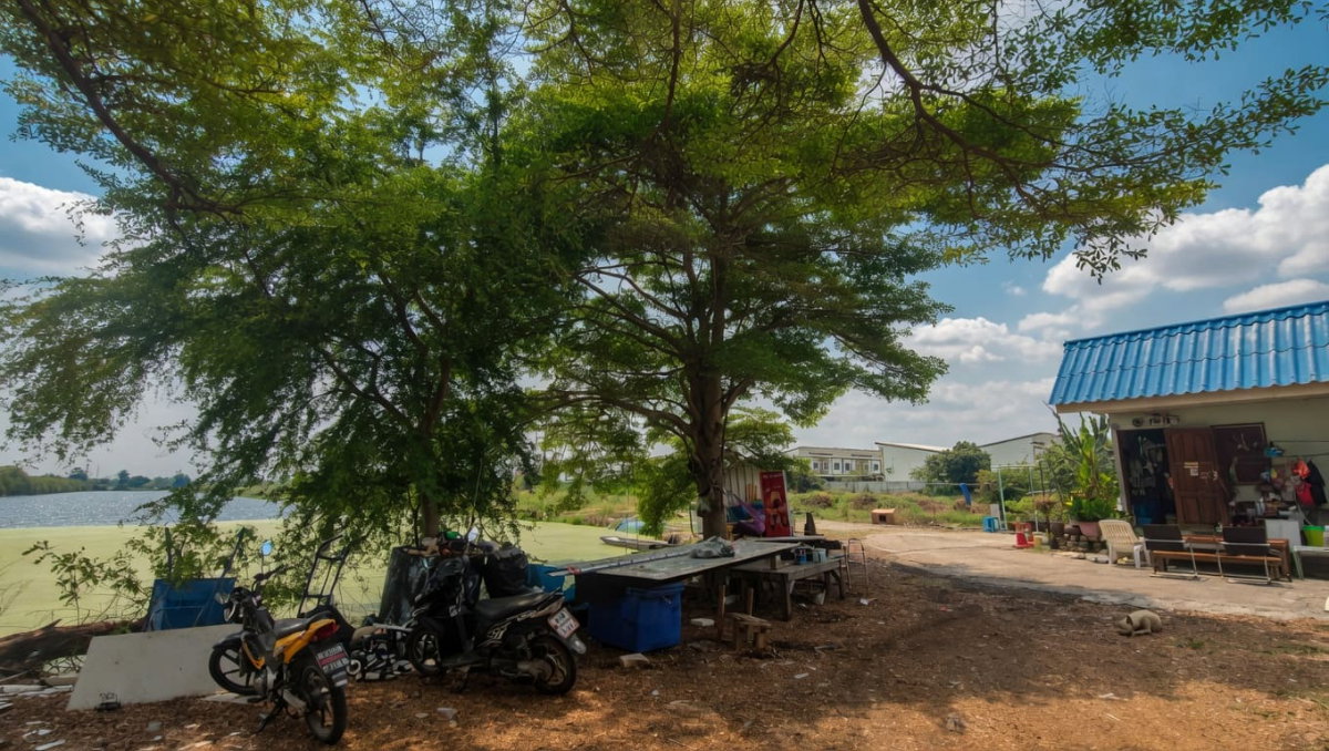 รูป ที่ดินทำเลทอง ใกล้สนามบินสุวรรณภูมิเพียง 15 นาที ติดถนนวัดศรี จ.สมุทรปราการ - รูปที่ 6/10