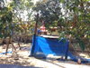 listing thumbnail image 10