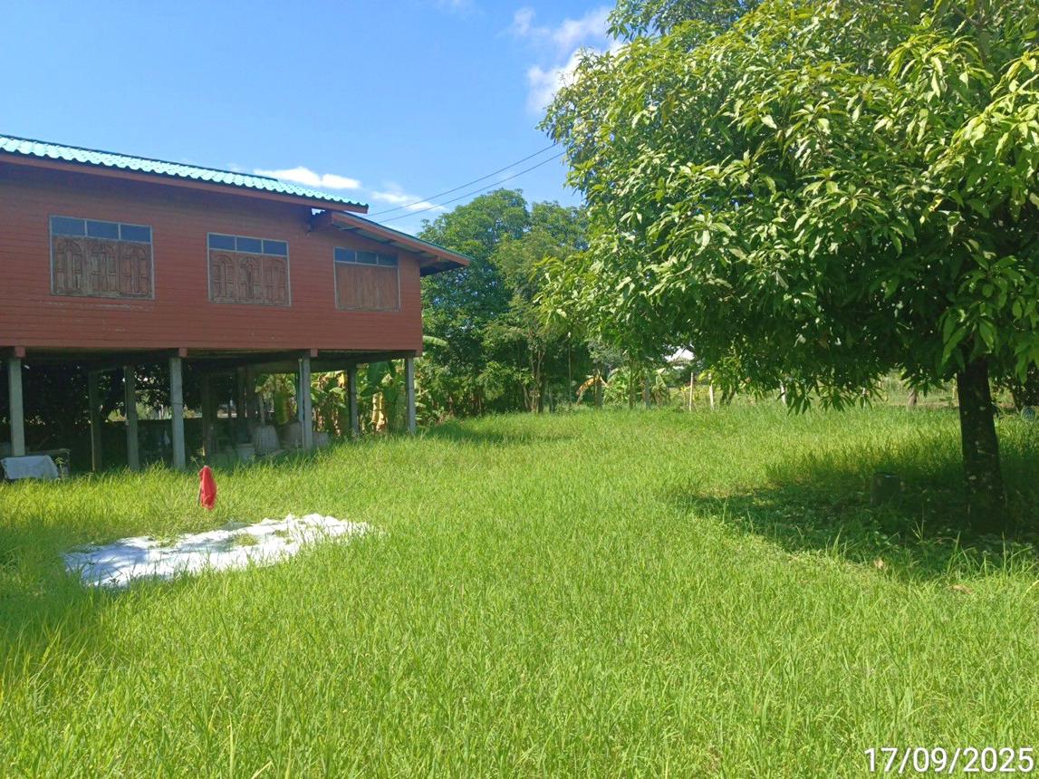 รูป บ้านเดี่ยว 300 ตร.วา เมืองสุโขทัย สุโขทัย 1.2M - รูปที่ 8/16