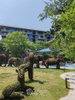 listing thumbnail image 11