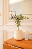 listing thumbnail image 25