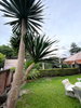 listing thumbnail image 64