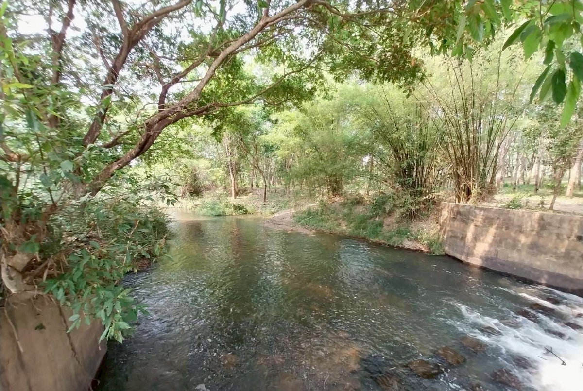 รูป (ขายที่ดินพร้อมเก็บเกี่ยวผลผลิต 80,000-100,000 /ด.) ที่ดินสวนยางพาราพร้อมพืชเศรษฐกิจ 27ไร่เศษ ต.ท่าปลา อุตรดิถ์ มีห้วยน้ำลำคลองไหลรอบที่ดิน - รูปที่ 1/19