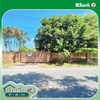 listing thumbnail image 25
