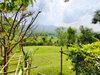 listing thumbnail image 35
