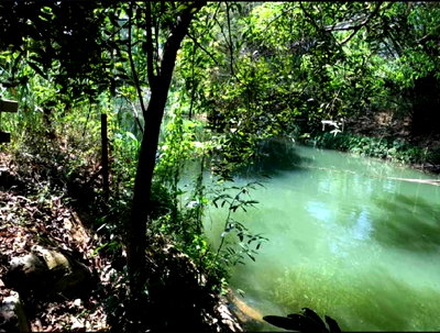 ที่ดิน ปากช่อง โคราช : ขายที่เขาใหญ่ติดน้ำลำตะคอง 1 ไร่ ใกล้ธนะรัชต์2.5 กม. ที่ริมน้ำสวยมาก หน้ากว้าง น้ำไฟพร้อม ในโครงการ ปากช่อง หนองน้ำแดง ใกล้ธนะรัชต์  มอเตอร์เวย์ M6