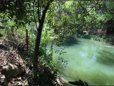ขายที่เขาใหญ่ติดน้ำลำตะคอง 1 ไร่ ใกล้ธนะรัชต์2.5 กม. ที่ริมน้ำสวยมาก หน้ากว้าง น้ำไฟพร้อม ในโครงการ ปากช่อง หนองน้ำแดง ใกล้ธนะรัชต์  มอเตอร์เวย์ M6