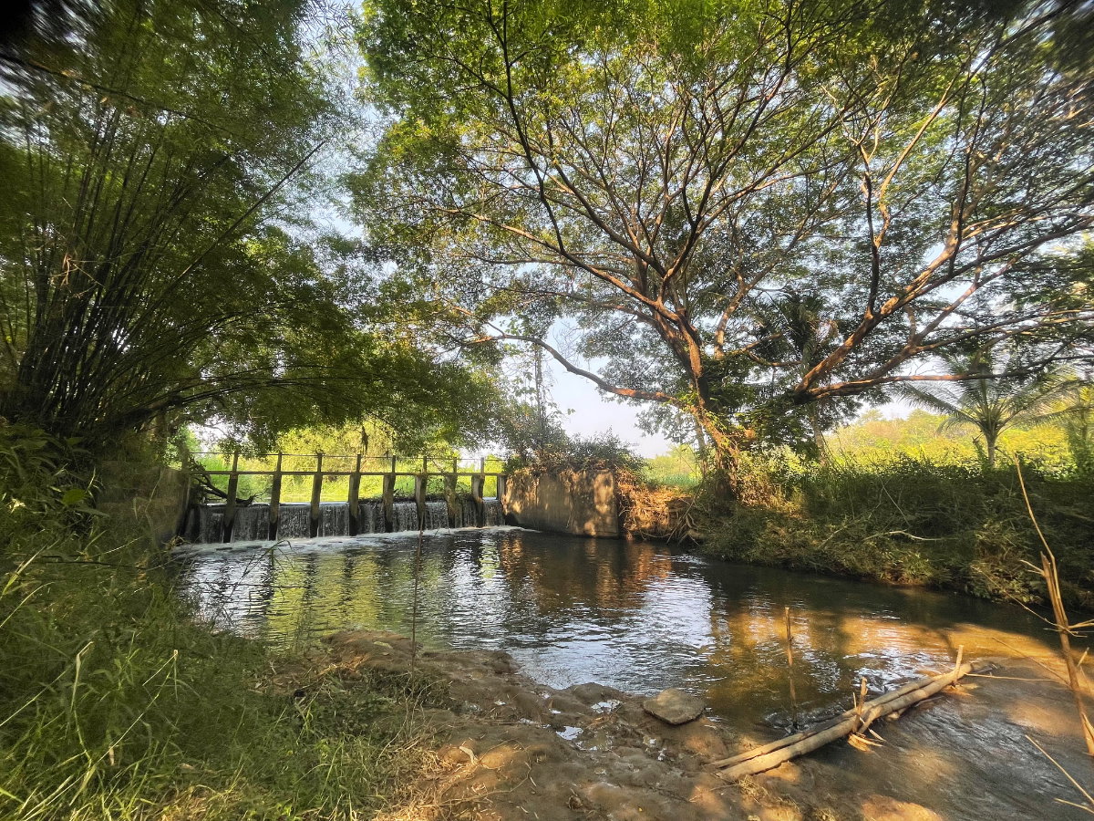 รูป (ขายที่ดินพร้อมเก็บเกี่ยวผลผลิต 80,000-100,000 /ด.) ที่ดินสวนยางพาราพร้อมพืชเศรษฐกิจ 27ไร่เศษ ต.ท่าปลา อุตรดิถ์ มีห้วยน้ำลำคลองไหลรอบที่ดิน - รูปที่ 3/19