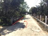 listing thumbnail image 9