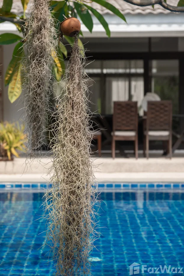 picture 3 Bedroom Villa for rent in Bo Phut, Surat Thani 6181046 - 41/51