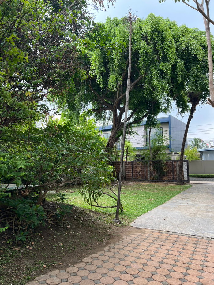 รูป ขายที่ดินพร้อมบ้านเดี่ยว2ชั้น พื้นที่ 200 ตร.ว. ซ.ลาดพร้าว43 แขวงสามเสนนอก เขตห้วยขวาง กทม (ใกล้ BTSสถานีภาวนา) - รูปที่ 8/10