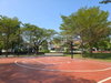 listing thumbnail image 41