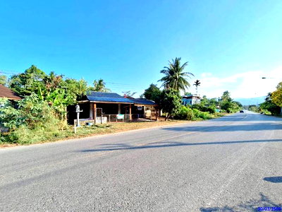 บ้านเดี่ยว ตะโหมด พัทลุง : บ้านเดี่ยว 77 ตร.วา ตะโหมด พัทลุง 1.1M