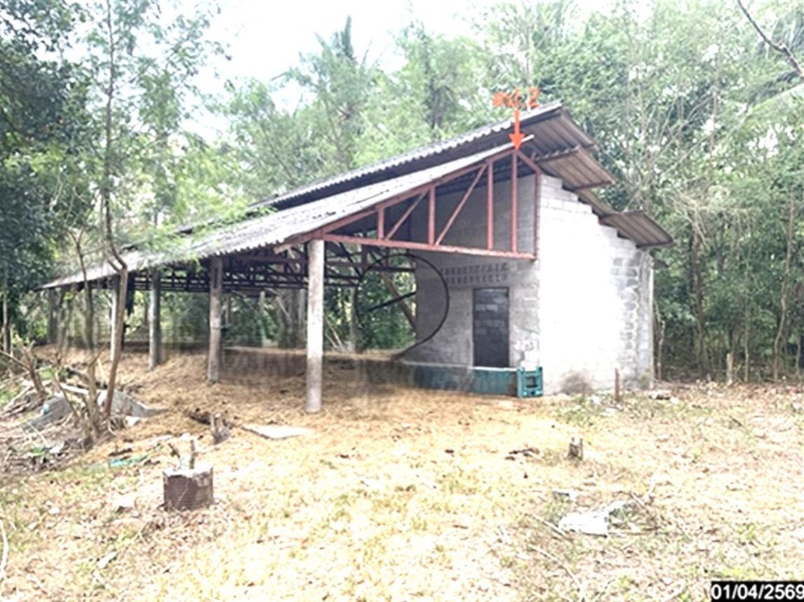picture LAND 1709.6 Sq.w. Pa Bon Phatthalung for 2.5M - 17/24