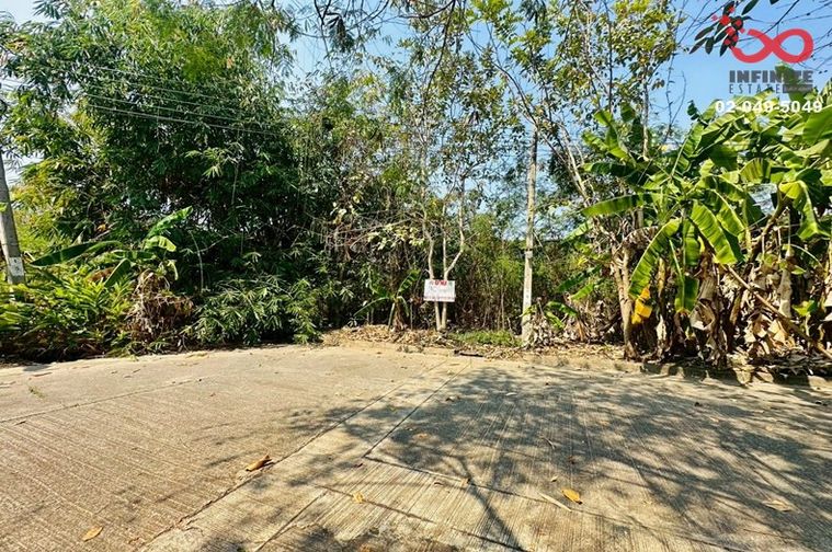 ขายที่ดิน 96 ตร.ว. เขตหนองจอก