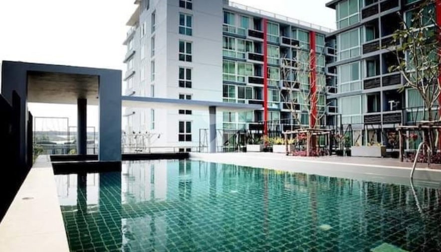 picture Swift for rent the best price. - 11/12