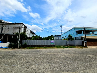 Land for sale Thonburi Vocational College : Land for sale phutthamonthon sai 1 soi 14, 124 sq.w. filled on main road