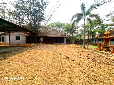 บ้านเดี่ยว เชียงใหม่ : บ้านเดี่ยว 800 ตร.วา สันกำแพง เชียงใหม่ 5M