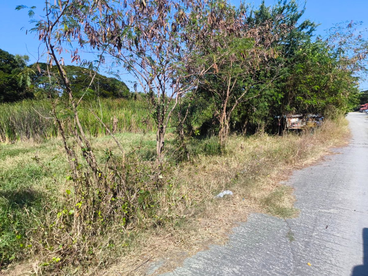picture Land Nimitmai 10 450m from Main road - 2/10