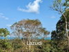 listing thumbnail image 3