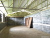 listing thumbnail image 13
