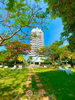listing thumbnail image 11