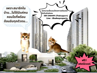 ขายคอนโด : COBE Ratchada-Rama 9 ใช้ชีวิตใจกลางเมือง ไปพร้อมกับเพื่อนรักสี่ขา ในคอนโด Pet Friendly