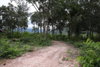 listing thumbnail image 15