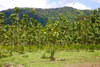 listing thumbnail image 16