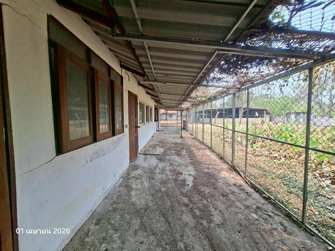 picture HOME 800 Sq.w. San Kamphaeng Chiang Mai for 5M - 52/66