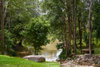 listing thumbnail image 22