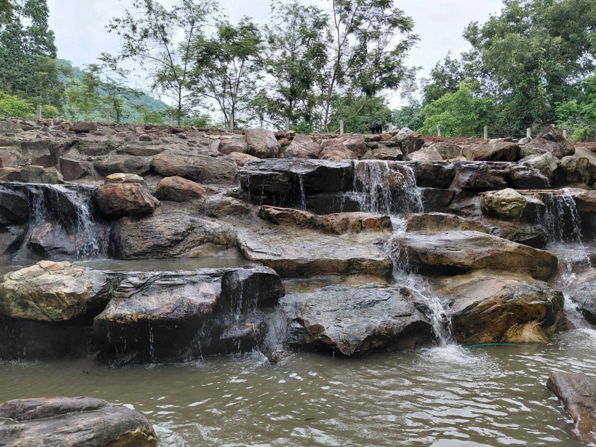 รูป ขายที่เขาใหญ่ 37 ไร่ ที่ติดเขาติดน้ำ เนินหอม เมืองปราจีนบุรี ที่สวยมาก มีแหล่งน้ำธรรมชาติ อยู่ใกล้ทางขึ้นอุทยานเขาใหญ่ ฝั่งปราจีน ด่วน ที่สวย ขายถูก - รูปที่ 5/24
