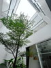 listing thumbnail image 5