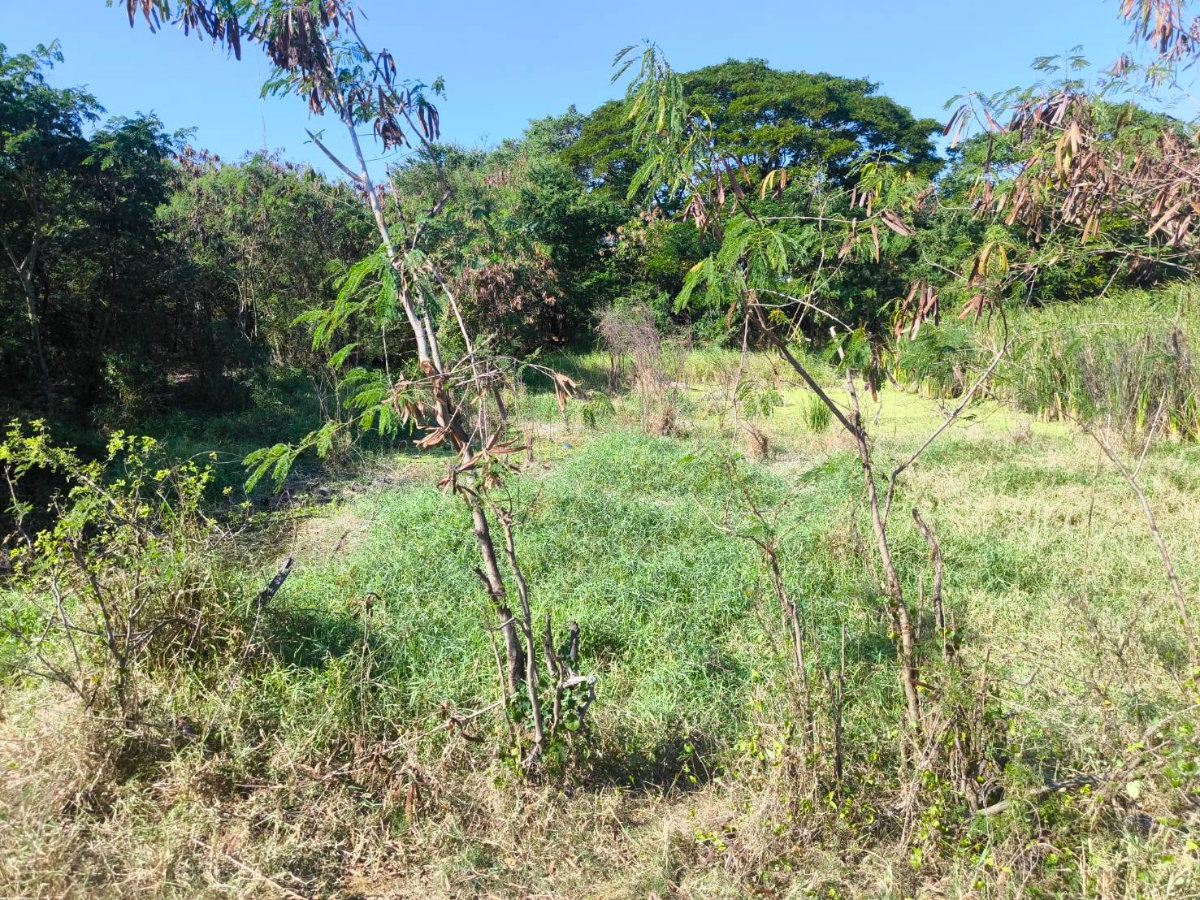 picture Land Nimitmai 10 450m from Main road - 3/10