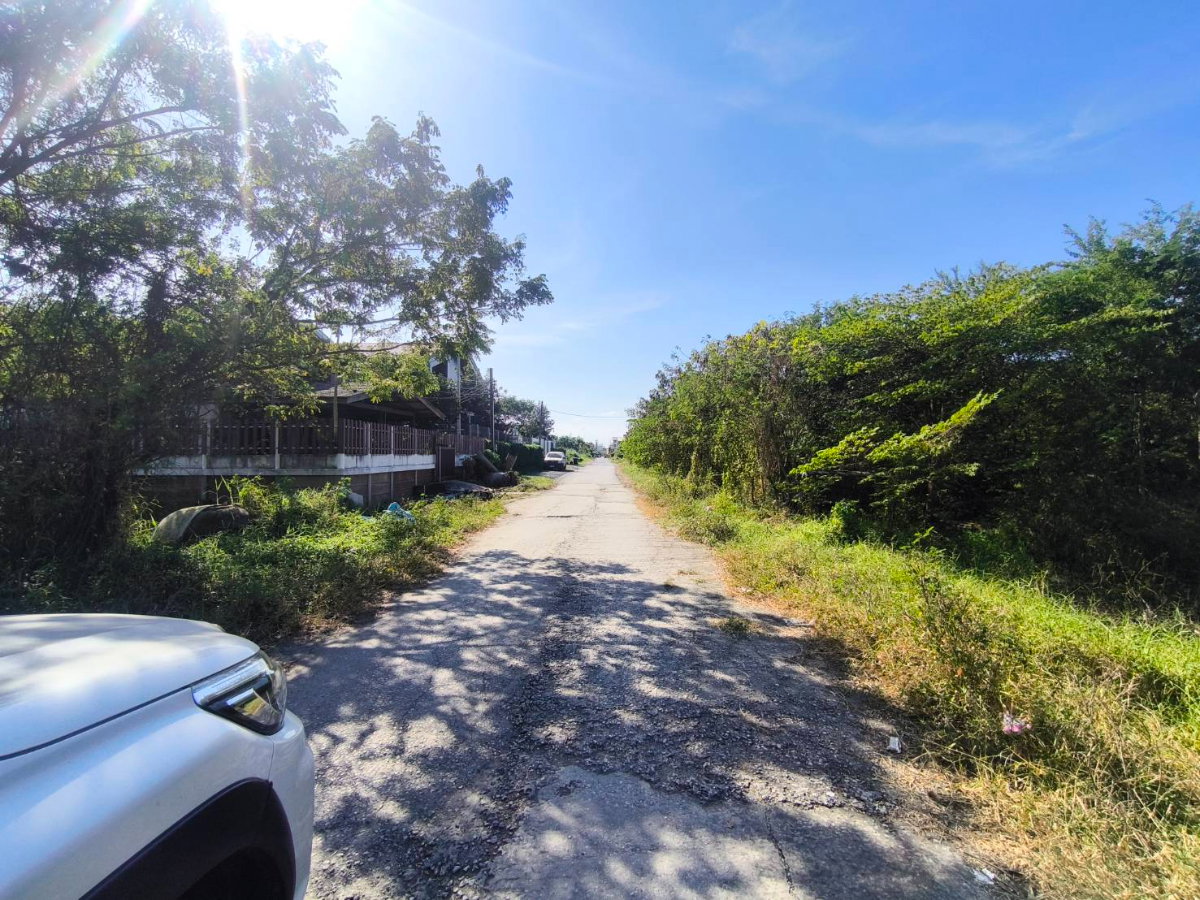 picture Land Nimitmai 10 450m from Main road - 7/10