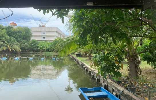 รูป ขายที่ดินสีม่วง 2 ไร่ 3 งาน สมุทรสาคร กระทุ่มแบน ถนนเศรษฐกิจ1 - รูปที่ 7/12