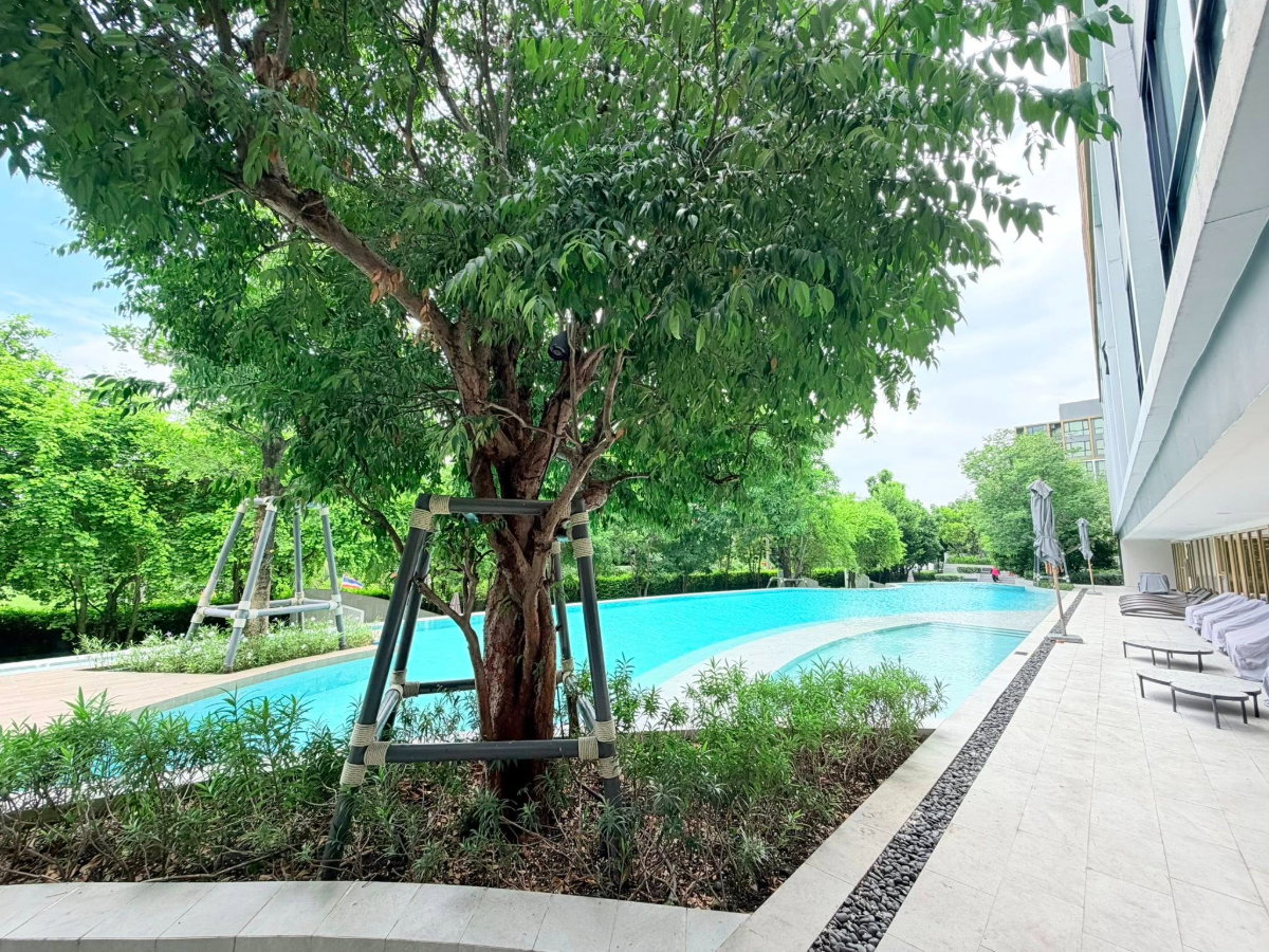 รูป  Atmoz Tropicana Bangna  (@Line : pangme_93758 ) - รูปที่ 8/24