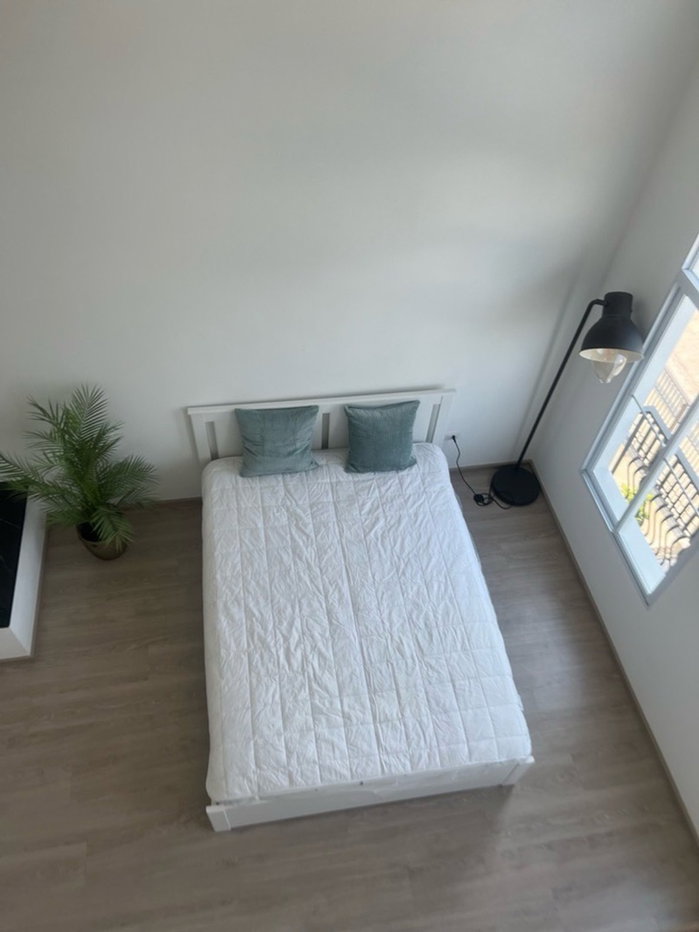 รูป 🏡✨ ให้เช่าทาวน์โฮมหลังมุม — Indy 2 บางนา–รามคำแหง 2 บ้านสวย พื้นที่กว้าง พร้อมสนามรอบบ้าน เหมาะสำหรับครอบครัวและสัตว์เลี้ยง - รูปที่ 5/14