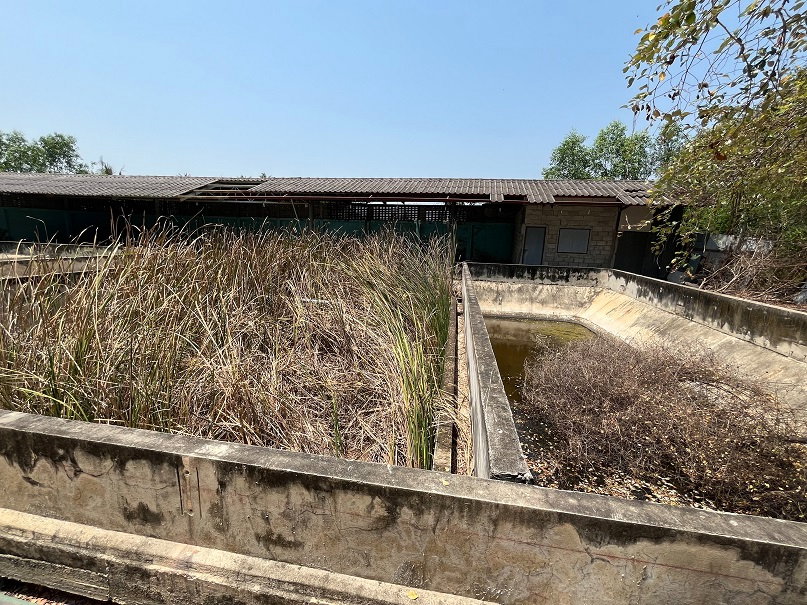 รูป โกดัง พร้อมสำนักงาน/ที่พัก ที่ดินเปล่า บางขันแตก/บางจีน เมืองสมุทรสาคร รหัสแฟ้ม66-00355 หรือ 30715-0001 ติดต่อคุณสุชาติ - รูปที่ 31/33