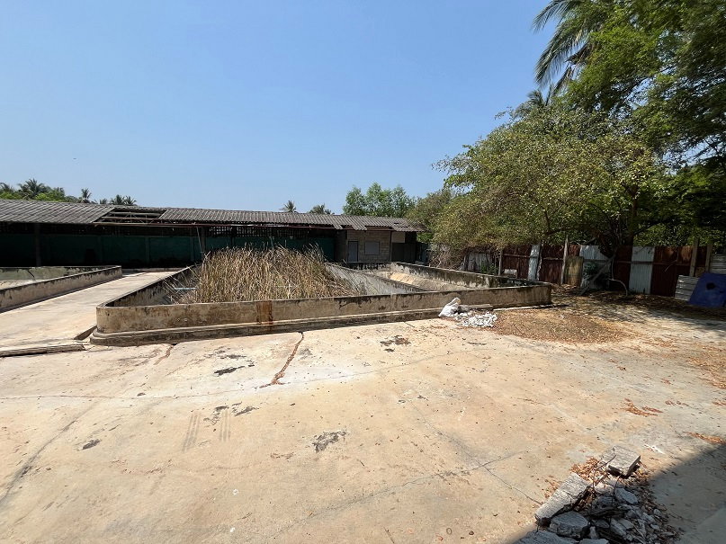 รูป โกดัง พร้อมสำนักงาน/ที่พัก ที่ดินเปล่า บางขันแตก/บางจีน เมืองสมุทรสาคร รหัสแฟ้ม66-00355 หรือ 30715-0001 ติดต่อคุณสุชาติ - รูปที่ 17/33