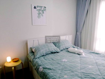 Condos for rent Soi On Nut (Sukhumvit 77) : For Rent Condo , Regent Home Sukhumvit 81 , BTS-On Nut , Suan Luang , Suan Luang , Bangkok , CX-156595 ✅ Live chat with us ADD LINE @connexproperty ✅