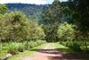 listing thumbnail image 19