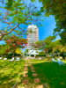 listing thumbnail image 12