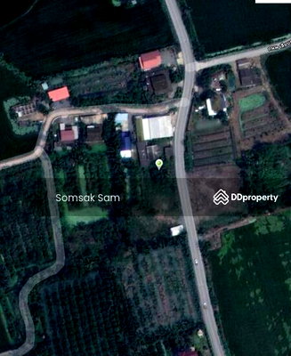 ที่ดิน นครชัยศรี นครปฐม : ขายที่ดินใกล้ทางขึ้นลงมอเตอร์เวย์   จ.นครปฐม   (131 ตรว.)