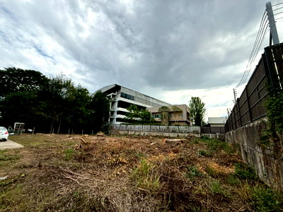 ที่ดิน แม็คโคร เชียงใหม่ : ขายที่ดิน จังหวัดเชียงใหม่ อำเภอเมืองเชียงใหม่ ตำบลฟ้าฮ่าม 277 ตรว. (น้ำไม่ท่วม) ผังเมืองสีส้ม หน้ากว้าง 36 เมตร